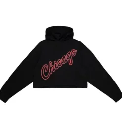 Womens Big Face 4.0 Crop Hoodie Chicago Bulls
