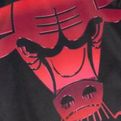 Womens Big Face 4.0 Crop Tank Chicago Bulls