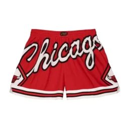 Women'S Big Face 3.0 Shorts Chicago Bulls