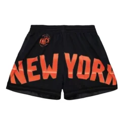 Womens Big Face 4.0 Shorts New York Knicks