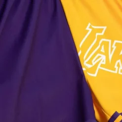 Womens Big Face Shorts 5.0 Los Angeles Lakers