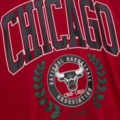 Womens Logo Lt Crew 2.0 Chicago Bulls