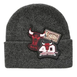 Xl Logo Patch Knit Hwc Chicago Bulls